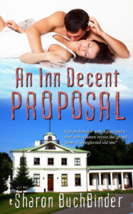 Book Cover: An Inn Decent Proposal